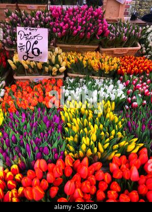 De nombreuses tulipes colorées sur l'affichage sur une rue large flower shop in Paris, France Banque D'Images