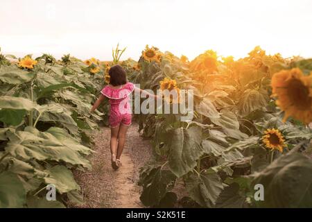 Profiter du plein air dans un champ de tournesol Banque D'Images