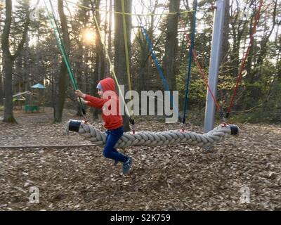 Aire forestière en balançant de l'enfant Banque D'Images