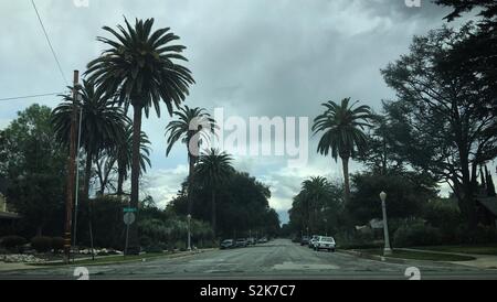 PASADENA, CA, mars 2019 : palm tree lined street dans la ville de Pasadena, au nord de Jefferson Park. Grande route avec des voitures garées sur les côtés Banque D'Images