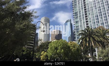 LOS ANGELES, CA, mars 2019 : arbres et gratte-ciel du centre-ville. Ciel bleu avec quelques nuages blancs Banque D'Images