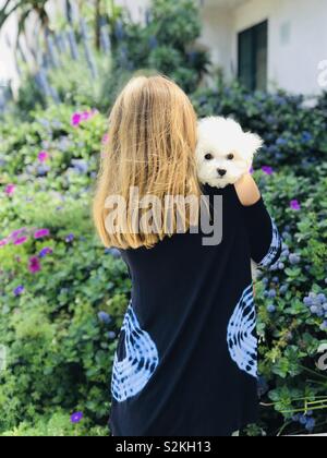 Chiot peeking sur l'épaule de la jeune fille avec des yeux sombres. Fille se serrant chiot dans cadre coloré de fleurs et feuillages. L'innocence et de la beauté. Banque D'Images