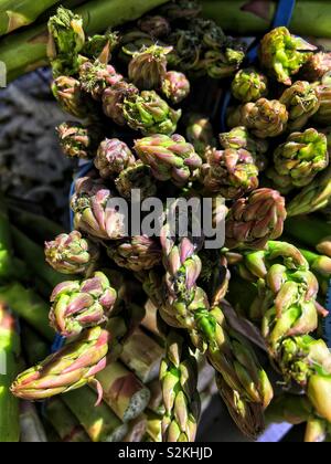 Image complète de produits très frais, délicieux venu vert bleu sur les têtes d'asperges et d'affichage pour la vente au marché du terroir. Banque D'Images