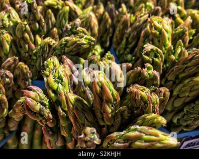 Image complète de produits très frais, délicieux venu vert bleu sur les têtes d'asperges et d'affichage pour la vente au marché du terroir. Banque D'Images