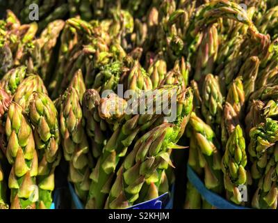 Image complète de produits très frais, délicieux venu vert bleu les asperges sur l'affichage et à la vente à la marché du terroir. Banque D'Images