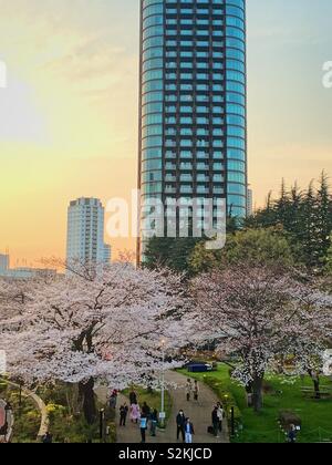 Vue depuis un midtown shopping mall à Tokyo au Japon pendant la saison des cerisiers en fleur. Banque D'Images