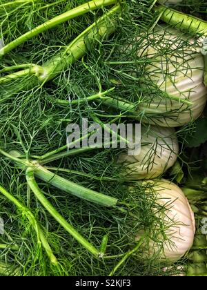 Châssis complet de délicieux produits frais parfait d'anis, l'anis, et Pimpinella anisum sur l'affichage et à la vente à la marché du terroir. Banque D'Images