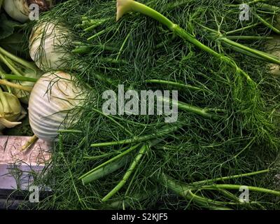 Châssis complet de délicieux produits frais parfait d'anis, l'anis, et Pimpinella anisum sur l'affichage et à la vente à la marché du terroir. Banque D'Images