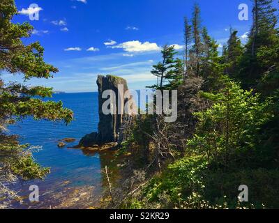 Sentier Skerwink à Terre-Neuve Canada au cours de l'été Banque D'Images