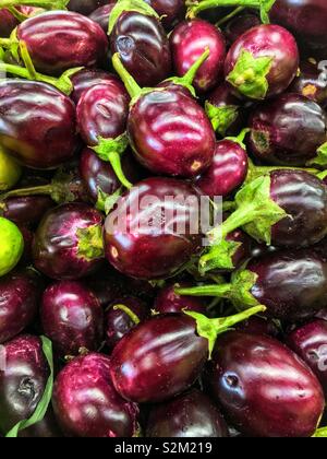 Image complète de produits frais délicieux ripe purple aubergine bébé d'une exposition-vente à la marché du terroir. Banque D'Images