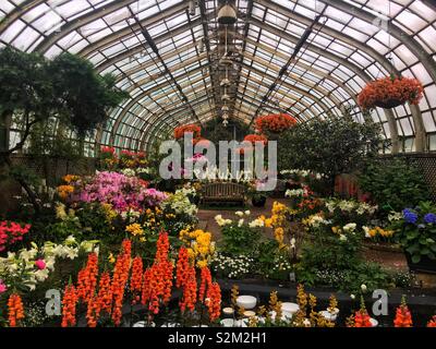 Le show room au Lincoln Park Conservatory à Chicago, Illinois. Banque D'Images