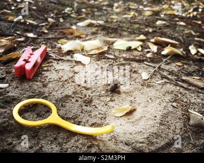 Close close up image d'une rose en plastique et d'une cheville bague en plastique jaune portant à la fois sur sol sablonneux entouré par la chute de feuilles d'arbres. Banque D'Images