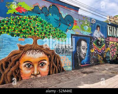 Une rue de quartier à Rio de Janeiro bordée avec des peintures murales d'art urbain. Banque D'Images