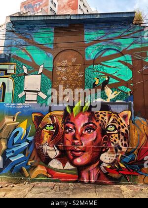 Vivid urban street art mural à Rio de Janeiro, Brésil. Banque D'Images