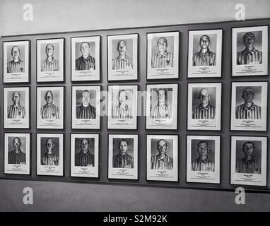Rangées de portrait photos de Juifs pour la plupart des détenus du Camp de concentration Nazi Auschwitz dans Oświęcium, Pologne. Il est probable que tous ces gens ont été soit exécuté ou gazés par le régime nazi Banque D'Images