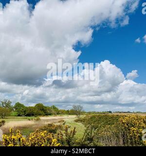 Martlesham, Suffolk, UK - 26 Avril 2019 : Gros nuages blancs sur un bel après-midi de printemps. Banque D'Images