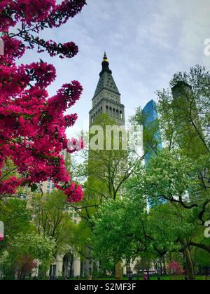 1 La tour de Madison Avenue. comme vu de Madison Square Park, NYC, USA, Banque D'Images