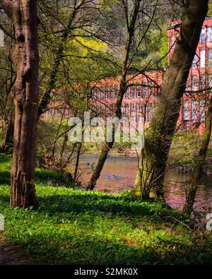 Les arbres à côté de la rivière Derwent avec Masson Mill dans le fond près de Matlock Bath dans le Derbyshire Peak District. Banque D'Images