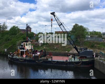 Buffalo, MSC Manchester Ship Canal, Stockton Heath Banque D'Images