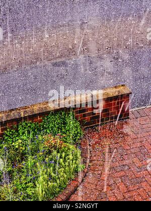 Lourd grêlon soudaine courte douche, Nottingham, Angleterre Banque D'Images