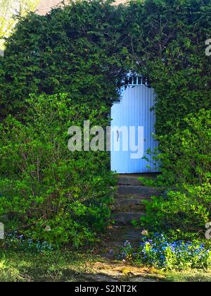 Printemps dynamique de couverture - porte de jardin en haie, jardin secret Banque D'Images