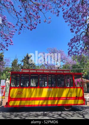 En Tramway Parque México à Mexico, DF Banque D'Images