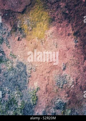 Les lichens sur un vieux mur de grès. Banque D'Images