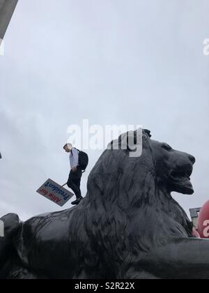 Homme debout sur une des statues de lion à Trafalgar Square Londres pendant la guerre contre trump en juin 2019 demo Banque D'Images