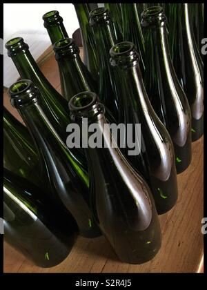 Des bouteilles de vin mousseux vide prêt à l'emploi, en Catalogne, Espagne. Banque D'Images