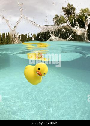 Canard en caoutchouc jaune clair plongeant dans l'eau des piscines. Banque D'Images