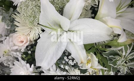 Close up detail of white rose flower arrangement Banque D'Images