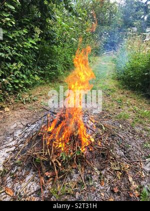 Feu de jardin sec brûlant, brambles blackberry Medstead, Hampshire, Angleterre, Royaume-Uni. Banque D'Images