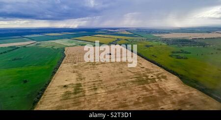 De vastes champs agricoles en Ukraine. Banque D'Images
