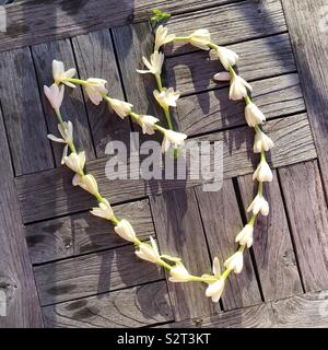 Une guirlande de fleurs Tahiti Tiera, ou tahitian gardenia en forme de cœur sur une surface en bois rustique à Tahiti, Polynésie Française Banque D'Images