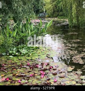 Le Pont de Monet sur l'eau l'étang à nénuphars à Bennetts Water Gardens, Weymouth, Jurassic Coast, Dorset, UK Banque D'Images