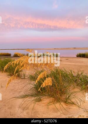 Joli sea oats sur une dune de sable sous un ciel de coucher du soleil à Kiawah Island, Caroline du Sud. Banque D'Images