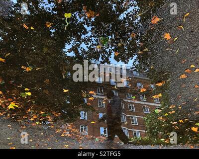 Réflexions d'un bâtiment et l'homme en passant devant une flaque d'eau avec des feuilles à Russell Square à Londres. Banque D'Images