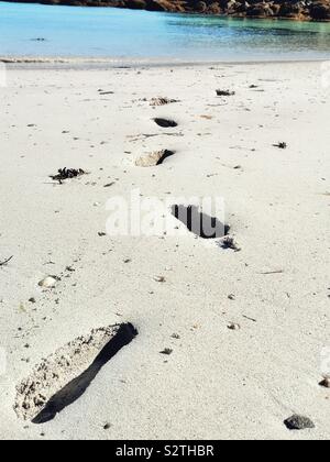 Traces dans le sable menant à ocean Banque D'Images