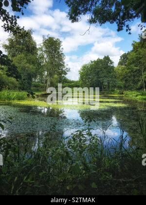 L'enflure Hill Pond, quatre points, Hampshire, Angleterre, Royaume-Uni. Banque D'Images