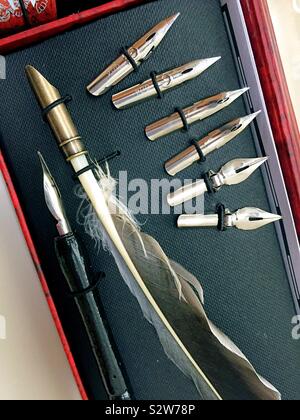 Plumes à écrire et de calligraphie plume dans un coffret, USA Banque D'Images