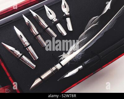 Plumes à écrire et de calligraphie plume dans un coffret, USA Banque D'Images