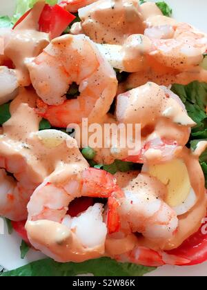 Close up lac plat d'une salade-repas gastronomique classique de crevettes Louie, USA Banque D'Images