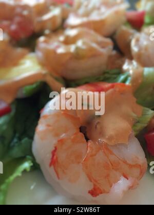 Près d'une entrée de crevettes salade Louie, USA Banque D'Images