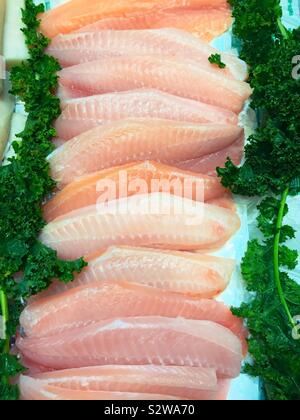 Les filets frais de tilapia à la vente à un marché aux poissons, NYC, USA Banque D'Images