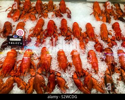 Homard fraîchement cuit sur glace dans un présentoir. Prêt à manger ou à expédier dans le monde entier. Bonne cuisine. Local. De l'océan Atlantique. Également dans le Maine, Etats-Unis. Pas d'emballage. Banque D'Images