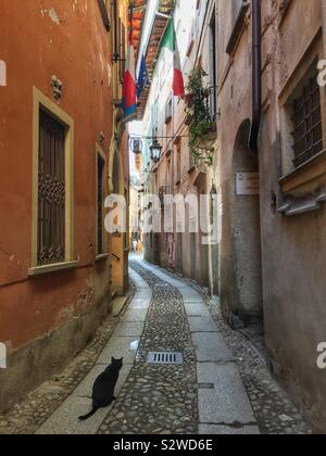 ORTA SAN GIULIO, ITALIE. 19 août 2019. Un chat noir a l'air dans une rue étroite dans la belle ville touristique du Piémont. Banque D'Images