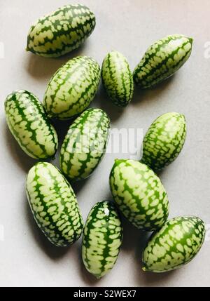 Cucamelons aussi appelés concombres aigres Mexicain, fraîchement cueilli Banque D'Images