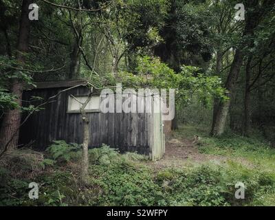 Chalet dans les bois Banque D'Images