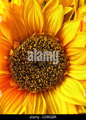 Faux Tournesol jaune en plastique en pleine floraison. Banque D'Images