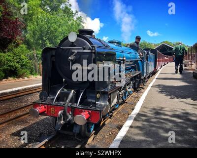 Train à vapeur en été sur Romney Hythe et Dymchurch Railway dans le Kent Banque D'Images